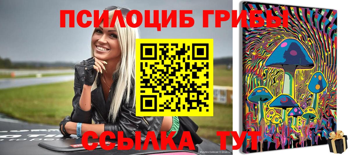 Кропоткин  Галлюциногенные грибы прущие грибы  Вход с VPN 