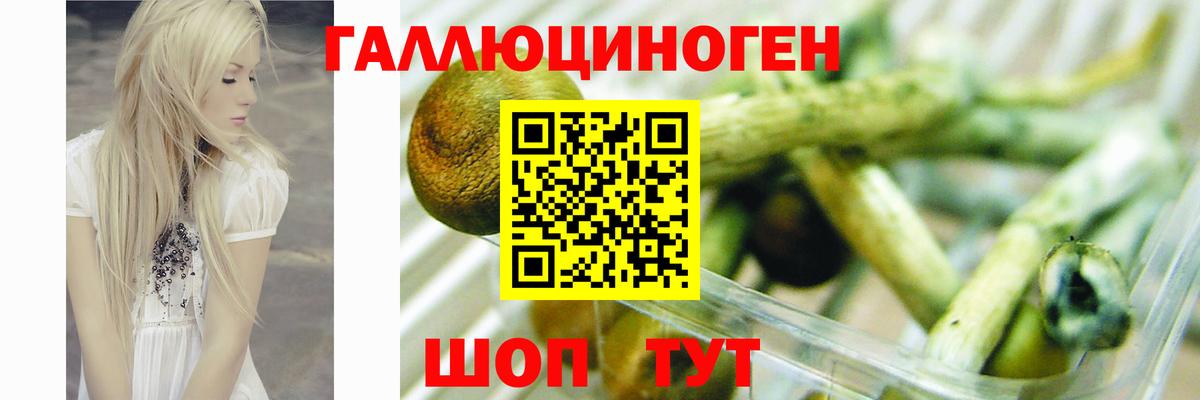 Галлюциногенные грибы Magic Shrooms Кропоткин